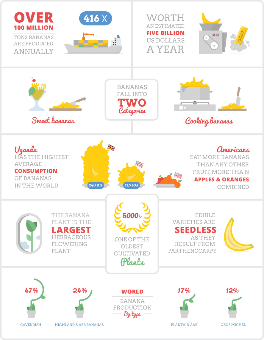 Banana Facts